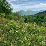 Bauernhof Agriturismo Il Talento Nella Quiete