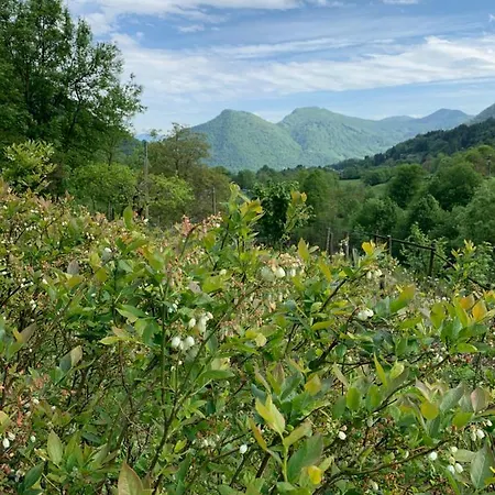 팜스테이 Il Talento Nella Quiete