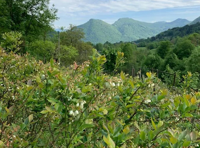 Lantgård Agriturismo Il Talento Nella Quiete