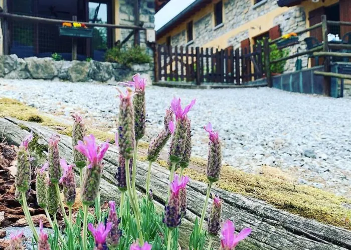 Agriturismo Il Talento Nella Quiete Lantgård Castiglione dʼIntelvi