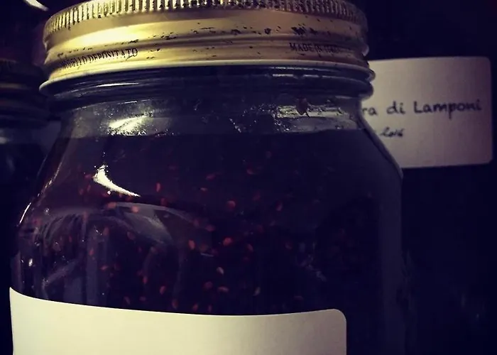 Agriturismo Il Talento Nella Quiete Lantgård *