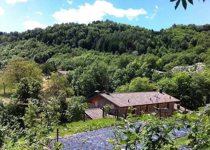 Agriturismo Il Talento Nella Quiete Lantgård