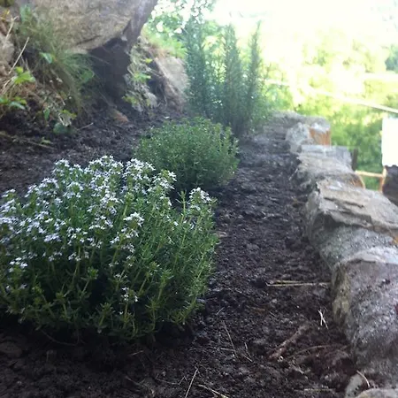 Il Talento Nella Quiete *