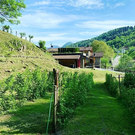 Agriturismo Il Talento Nella Quiete Farm stay