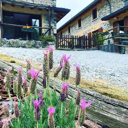 Il Talento Nella Quiete Vakantieboerderij Castiglione dʼIntelvi