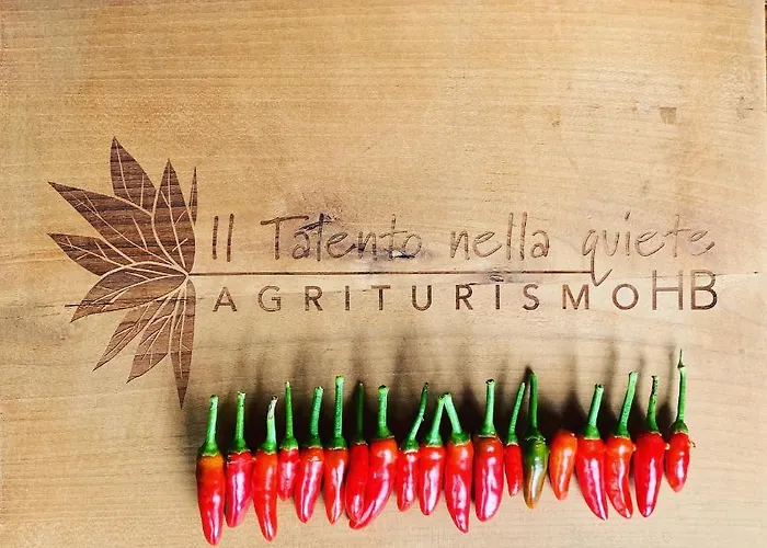 Bauernhof Agriturismo Il Talento Nella Quiete