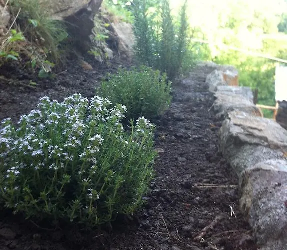 Il Talento Nella Quiete *