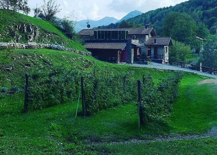 Il Talento Nella Quiete